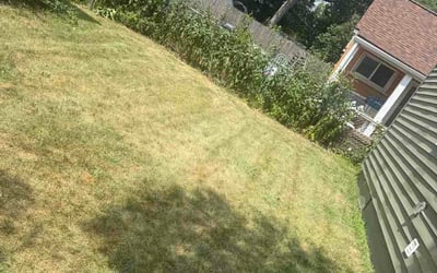 Photo of Justin S.'s yard after getting lawn care in Newark, NJ