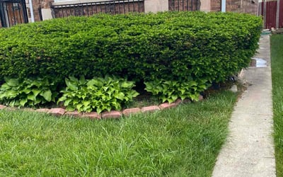 Photo of Tim M.'s yard after getting lawn care in Chicago, IL