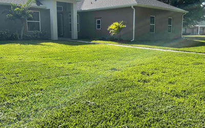 Photo of Rachel C.'s yard after getting lawn care in Round Rock, TX