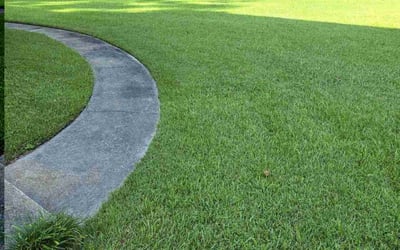 Photo of Sarah R.'s yard after getting lawn care in Charleston, SC