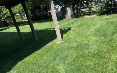 Photo of Sam R.'s yard after getting lawn care in Gladstone, MO