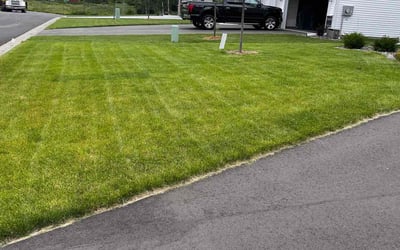 Photo of Chanai W.'s yard after getting lawn care in Ham Lake, MN