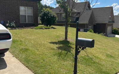 Photo of Savannah D.'s yard after getting lawn care in Oneonta, AL