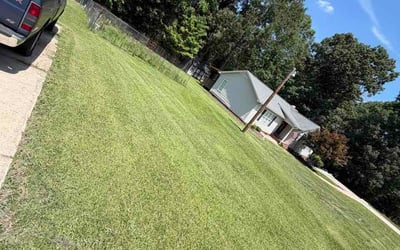 Photo of Devang D.'s yard after getting lawn care in Natick, MA