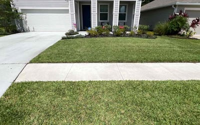 Photo of Guillermo M.'s yard after getting lawn care in Ossining, NY