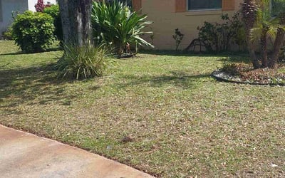 Photo of Valerie F.'s yard after getting lawn care in Canton, OH