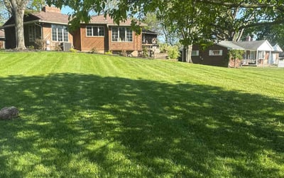 Photo of Rachel N.'s yard after getting lawn care in Canton, OH