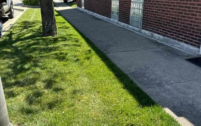 Photo of Lucas M.'s yard after getting lawn care in Forest Park, IL