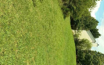 Photo of Donna H.'s yard after getting lawn care in Delray Beach, FL