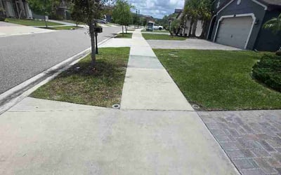 Photo of Treasa L.'s yard after getting lawn care in Pell City, AL