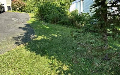 Photo of Rhonda S.'s yard after getting lawn care in Morris Plains, NJ