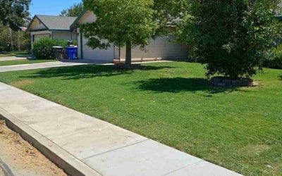Photo of Janet S.'s yard after getting lawn care in Porterville, CA
