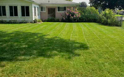 Photo of Shelby B.'s yard after getting lawn care in Clarkston, MI