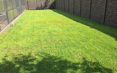 Photo of Joe L.'s yard after getting lawn care in Pompano Beach, FL