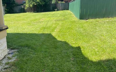Photo of Norman C.'s yard after getting lawn care in Havre De Grace, MD