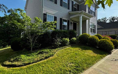 Photo of Gab W.'s yard after getting lawn care in Mc Kees Rocks, PA