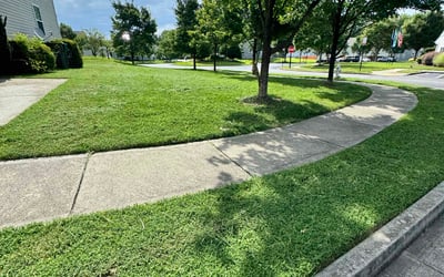 Photo of Ciara W.'s yard after getting lawn care in Lorain, OH