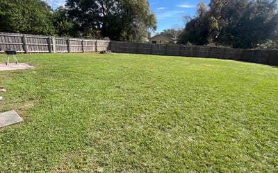 Photo of Tonyalee S.'s yard after getting lawn care in Medford, OR