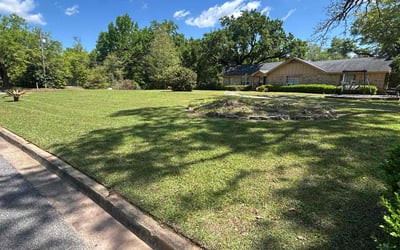 Photo of Angela P.'s yard after getting lawn care in Mobile, AL