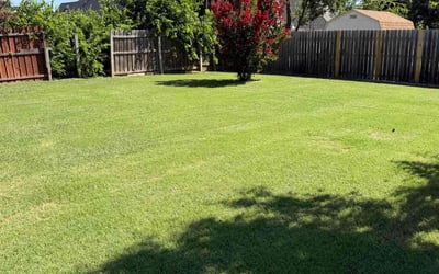 Photo of Keri B.'s yard after getting lawn care in Endicott, NY
