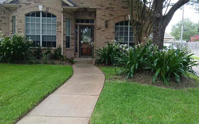Photo of Steven P.'s yard after getting lawn care in Hurst, TX