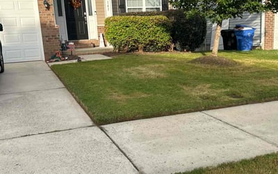Photo of Yuliana R.'s yard after getting lawn care in Quakertown, PA