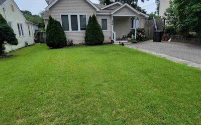 Photo of Sharon B.'s yard after getting lawn care in North Bergen, NJ