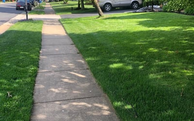 Photo of Blake B.'s yard after getting lawn care in Ashburn, VA