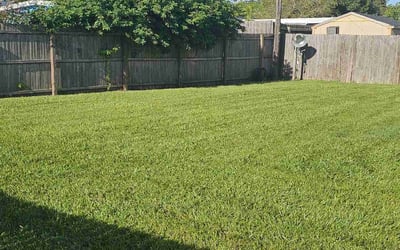 Photo of Billy S.'s yard after getting lawn care in Elmhurst, NY