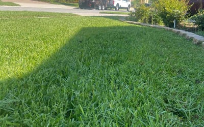 Photo of Natalie V.'s yard after getting lawn care in Dayton, OH