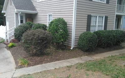 Photo of Bob Z.'s yard after getting lawn care in Lacygne, KS