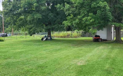 Photo of Regina M.'s yard after getting lawn care in Warren, OH