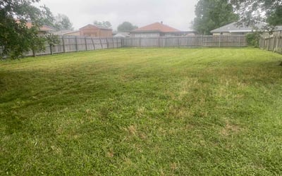 Photo of Maureen R.'s yard after getting lawn care in Wixom, MI