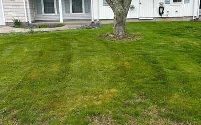 Photo of Steven M.'s yard after getting lawn care in Portsmouth, RI