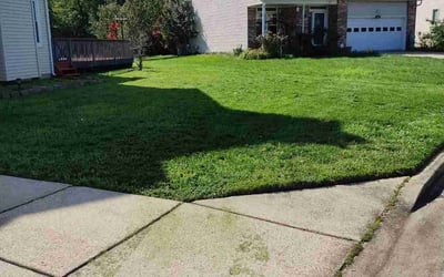 Photo of Tamika B.'s yard after getting lawn care in Laurel, MD