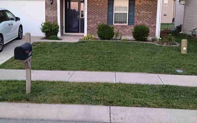 Photo of "\"cheryl l.'s yard after getting lawn care in Westfield, IN