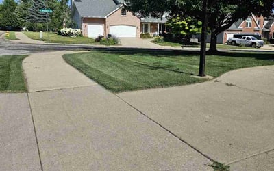 Photo of Debbie T.'s yard after getting lawn care in Davison, MI