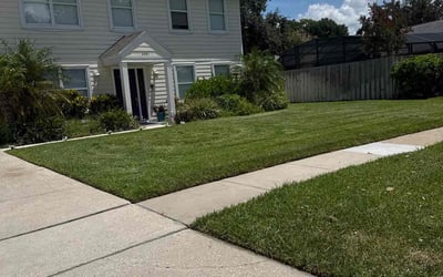 Photo of Mindy M.'s yard after getting lawn care in Orlando, FL