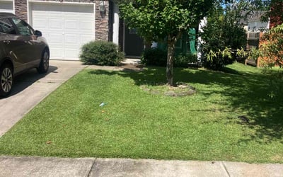 Photo of Ed S.'s yard after getting lawn care in Clemson, SC