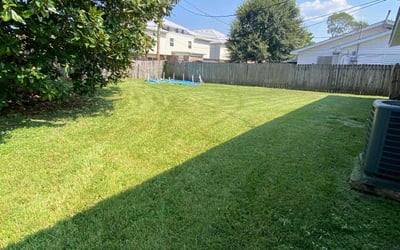 Photo of Pat A.'s yard after getting lawn care in Gretna, LA