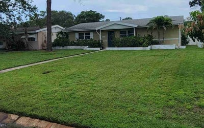 Photo of Bethany B.'s yard after getting lawn care in St. Petersburg, FL