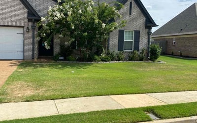 Photo of Will P.'s yard after getting lawn care in Southaven, MS