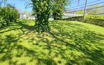 Photo of Cathy M.'s yard after getting lawn care in Dayton, OH
