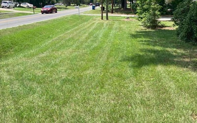 Photo of Ernesto R.'s yard after getting lawn care in Siler City, NC