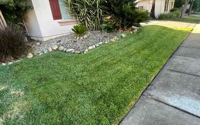 Photo of John M.'s yard after getting lawn care in Leland, NC