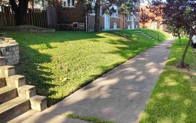 Photo of Rachel W.'s yard after getting lawn care in St. Louis, MO