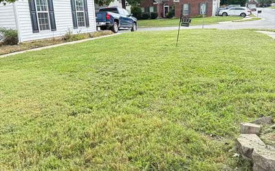 Photo of Susan S.'s yard after getting lawn care in Canal Winchester, OH