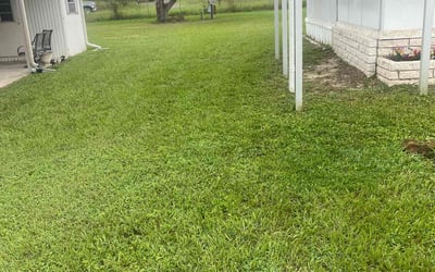 Photo of Pamela W.'s yard after getting lawn care in Brooksville, FL