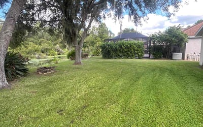 Photo of Chris c.'s yard after getting lawn care in Lithia, FL