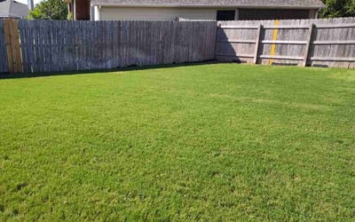 Photo of Kyle H.'s yard after getting lawn care in Temple, TX